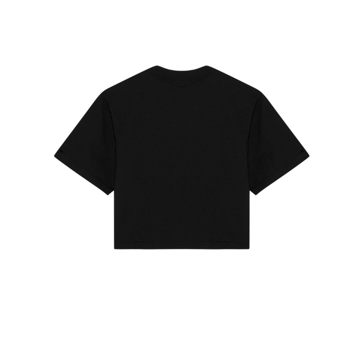 Oversized Crop T Shirt (Women)