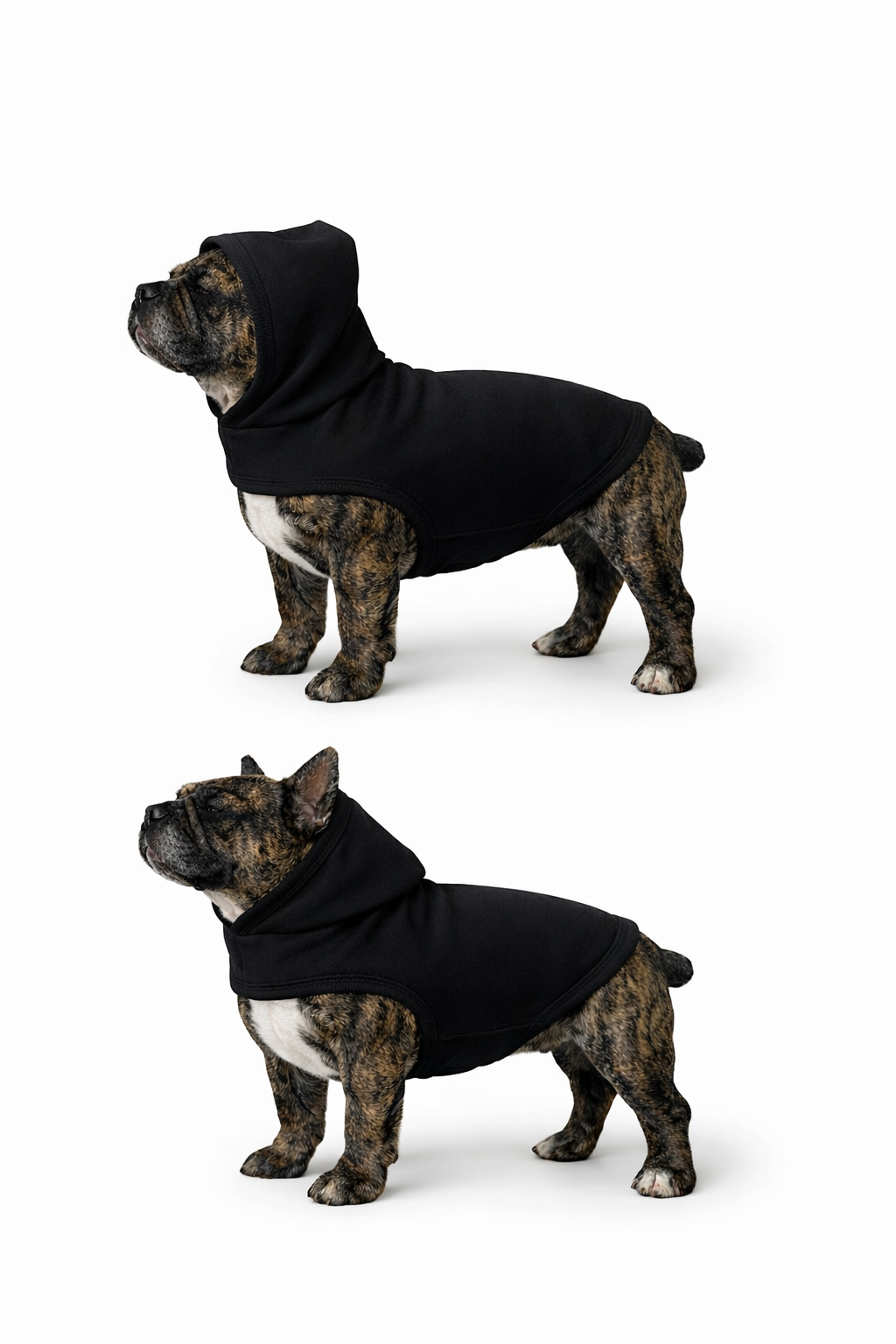 Baby Rib Dog T-shirt (Black)