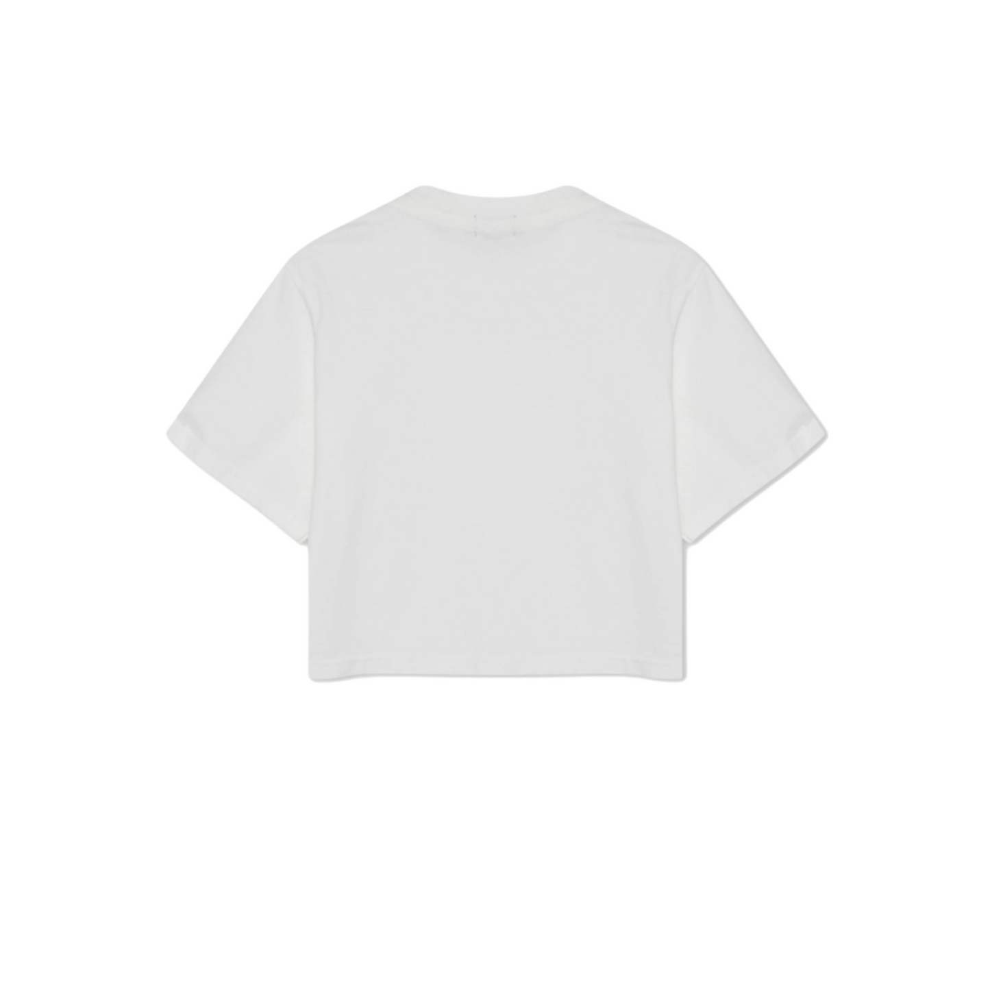 Oversized Crop T Shirt (Women)