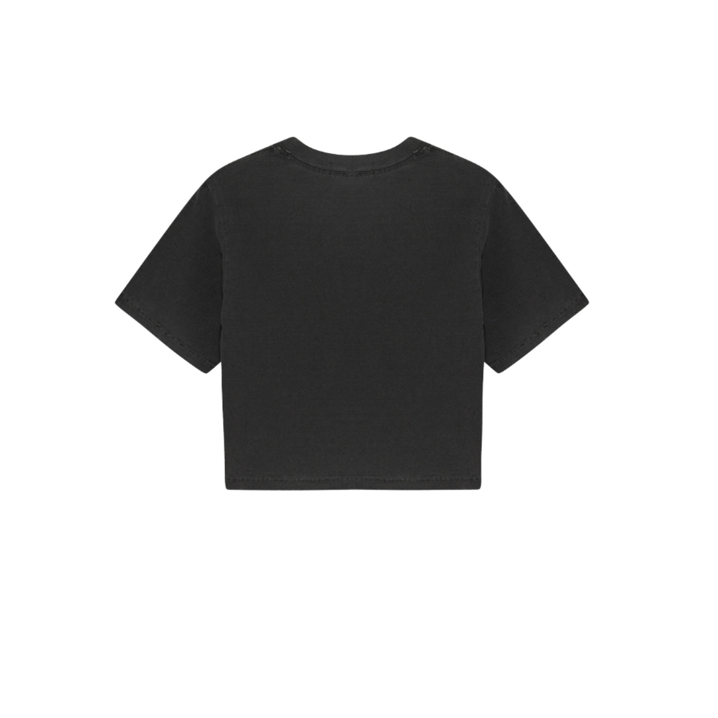 Oversized Crop T Shirt (Women)