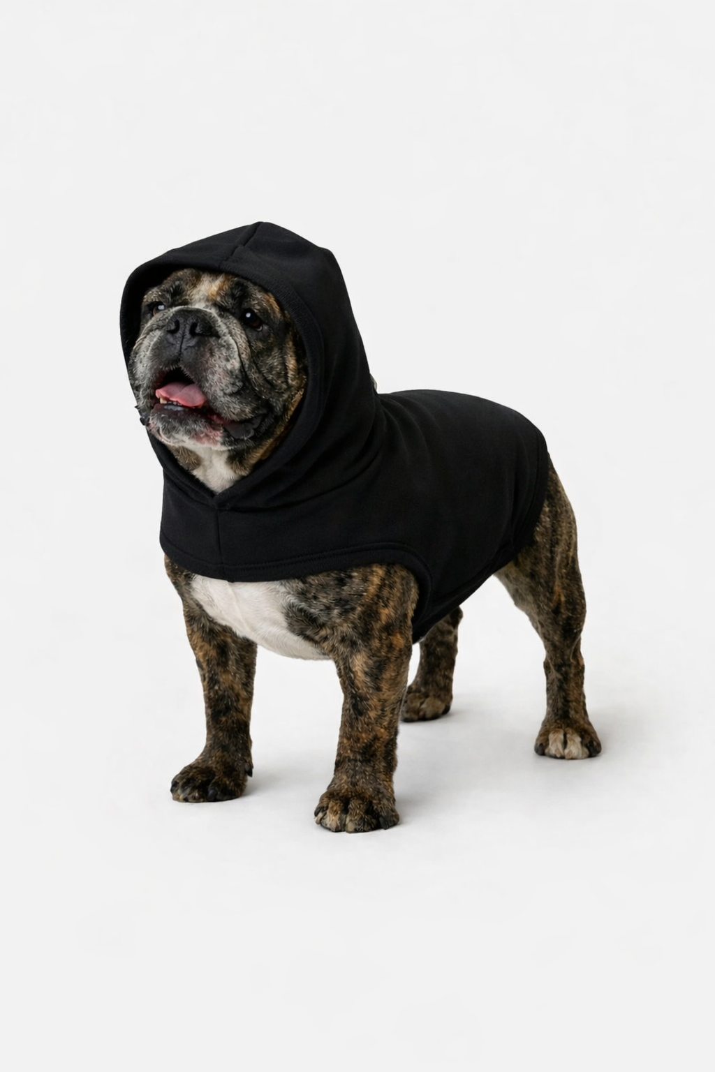 Baby Rib Dog T-shirt (Black)