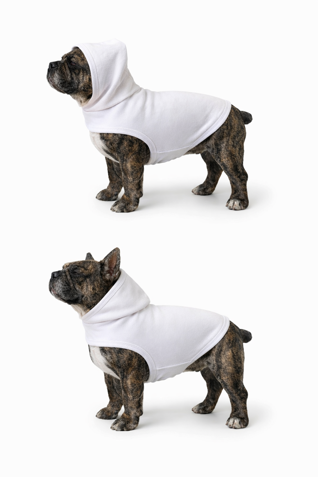 Baby Rib Dog T-shirt (White)