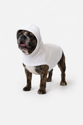 Baby Rib Dog T-shirt (White)