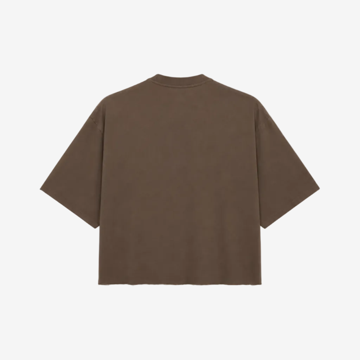 Cropped Oversized T-Shirt (Mocha)