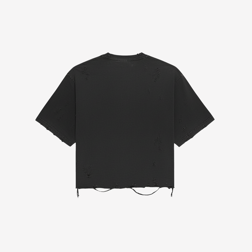 Distressed Crop T-Shirt (Pepper)